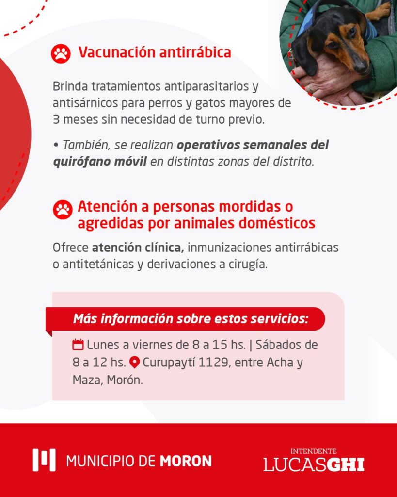 Zoonosis en Morón