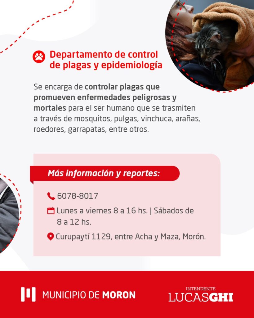 Zoonosis en Morón