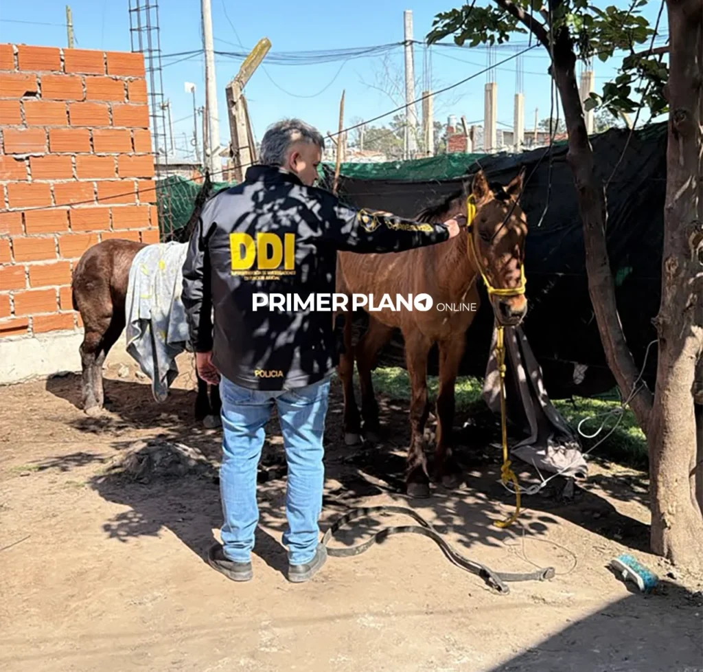 Robo de caballos
