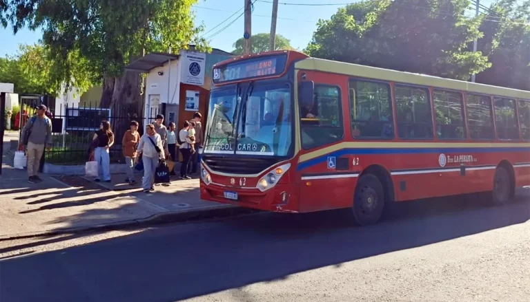 La Perlita no se presenta a la licitación en Moreno