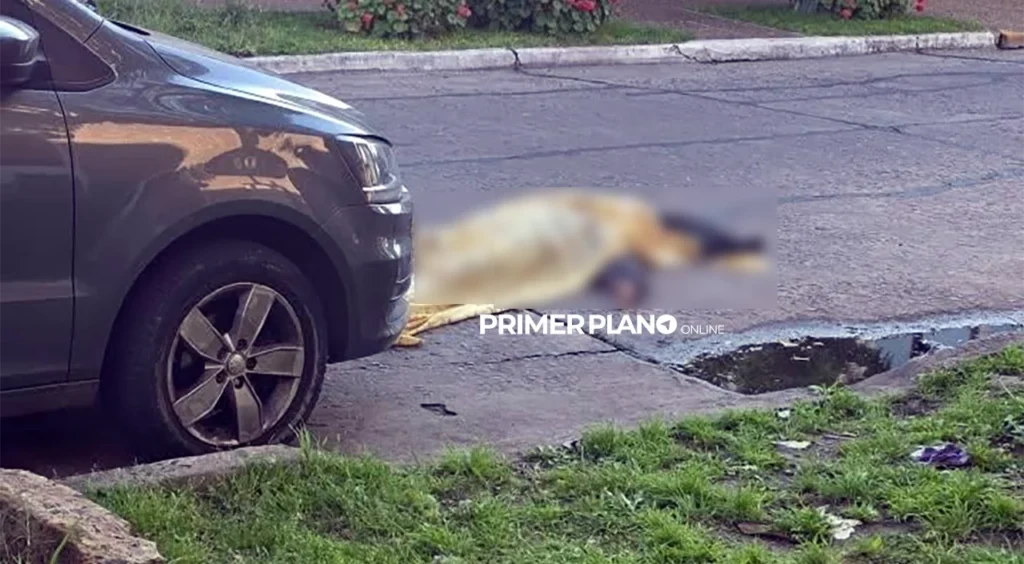 Delincuente abatido en San Justo