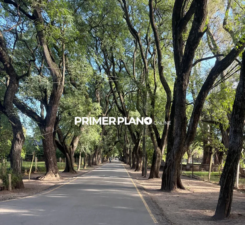 Plan Arbolado Urbano 2030 en Ituzaingó