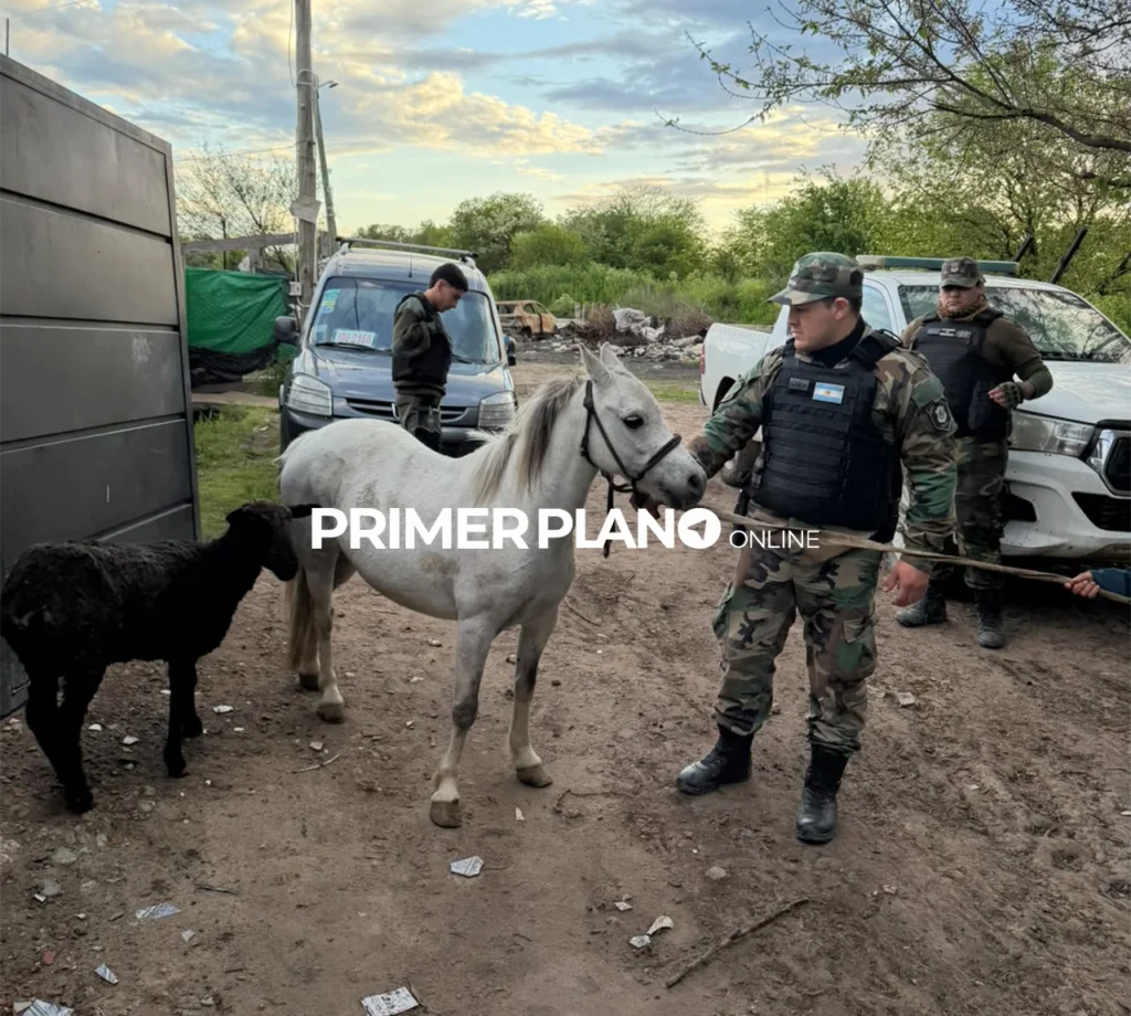 Caballos robados en Moreno